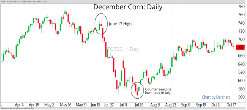 December Corn Daily